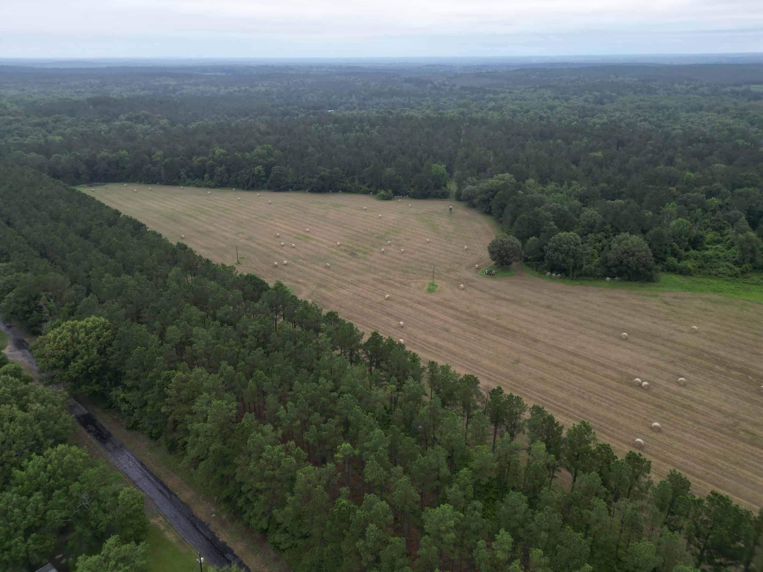 East Texas Land For Sale in McLeod, Texas