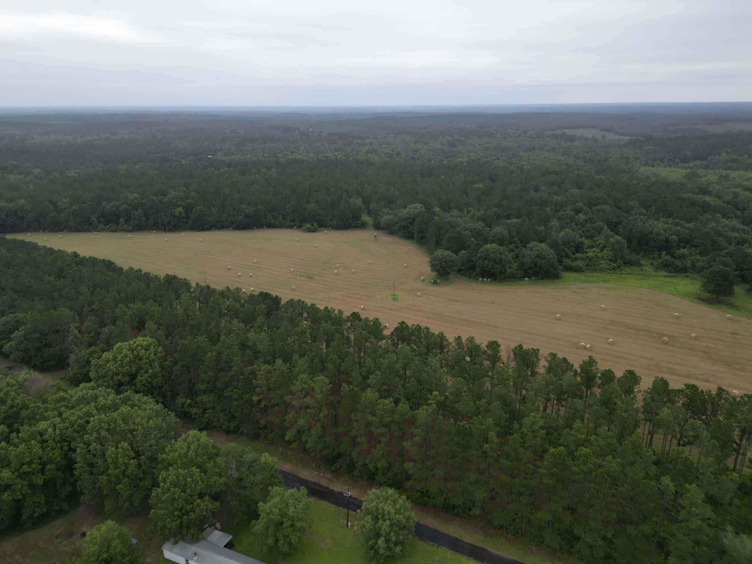 East Texas Land For Sale in McLeod, Texas