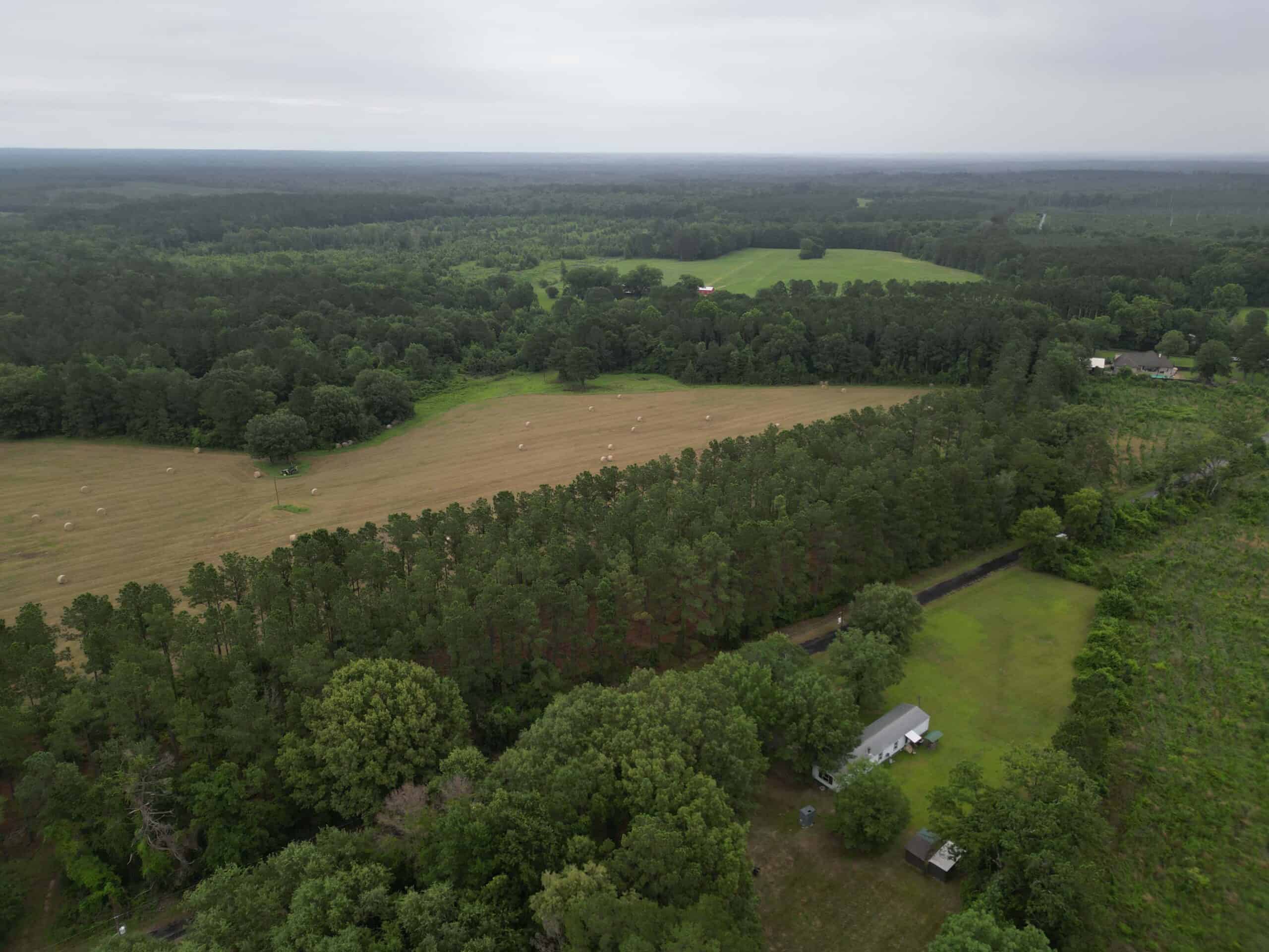 East Texas Land For Sale in McLeod, Texas