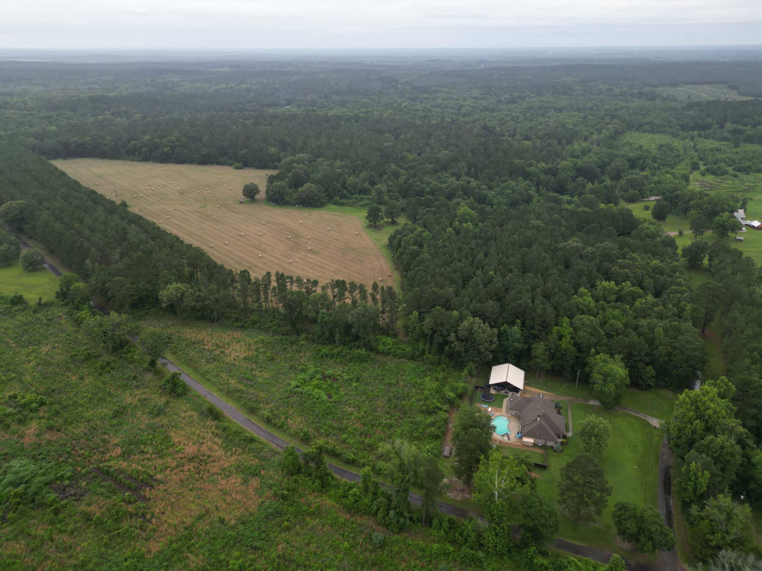 East Texas Land For Sale in McLeod, Texas