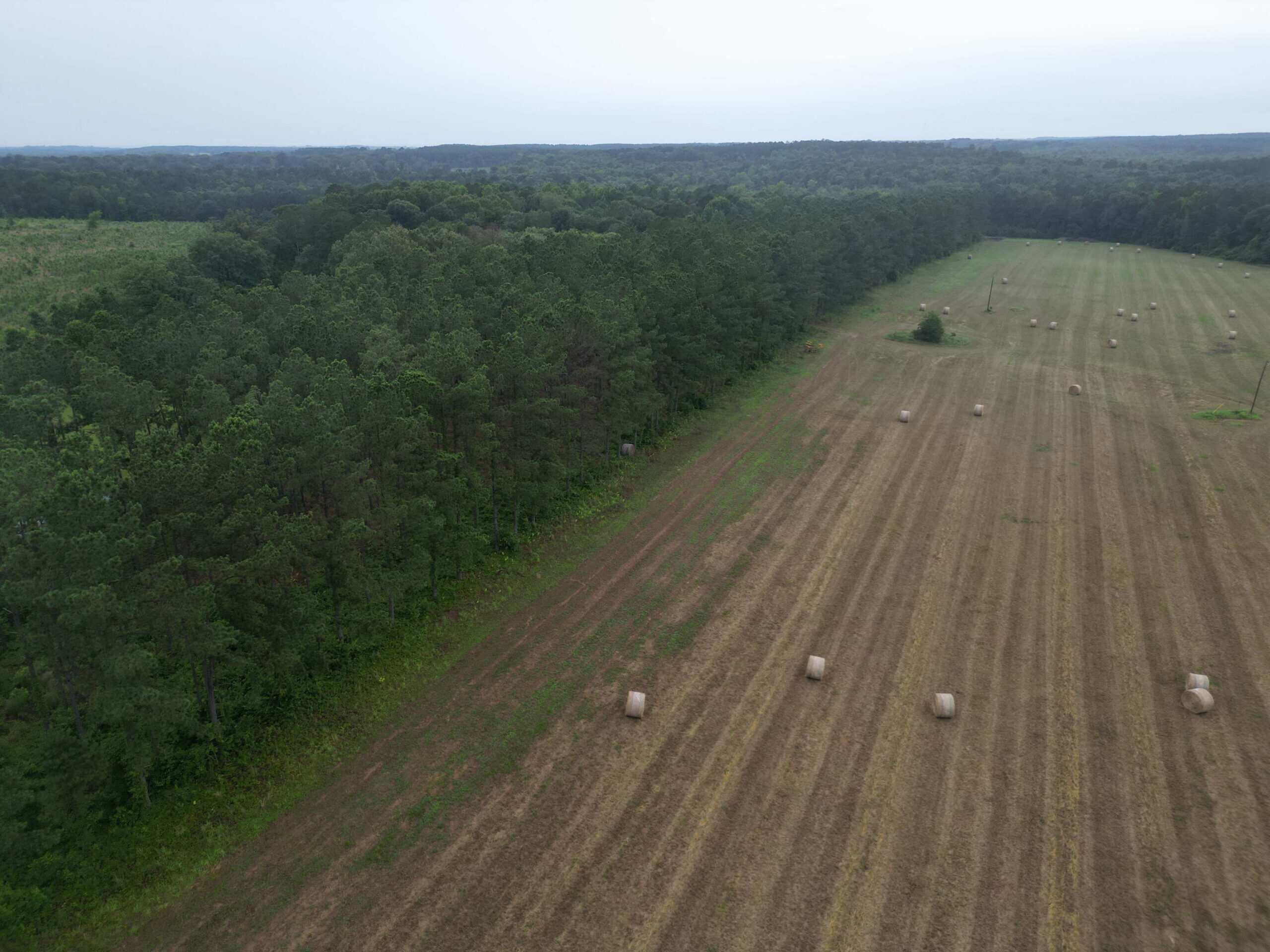 East Texas Land For Sale in McLeod, Texas