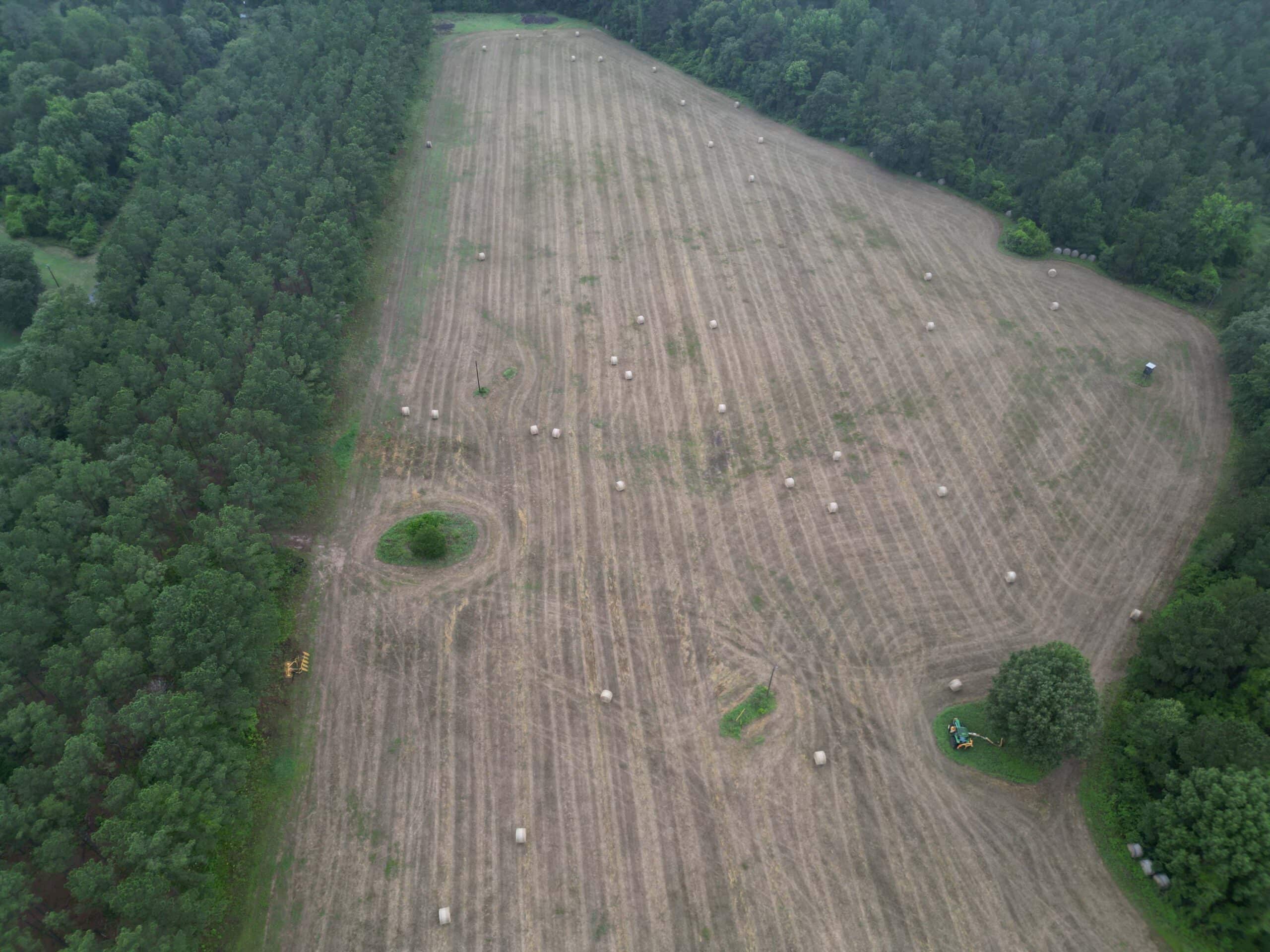 East Texas Land For Sale in McLeod, Texas