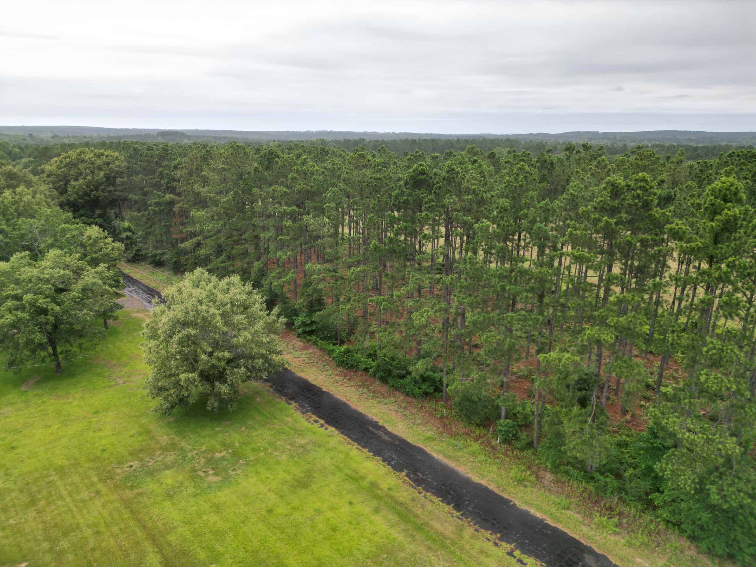 East Texas Land For Sale in McLeod, Texas