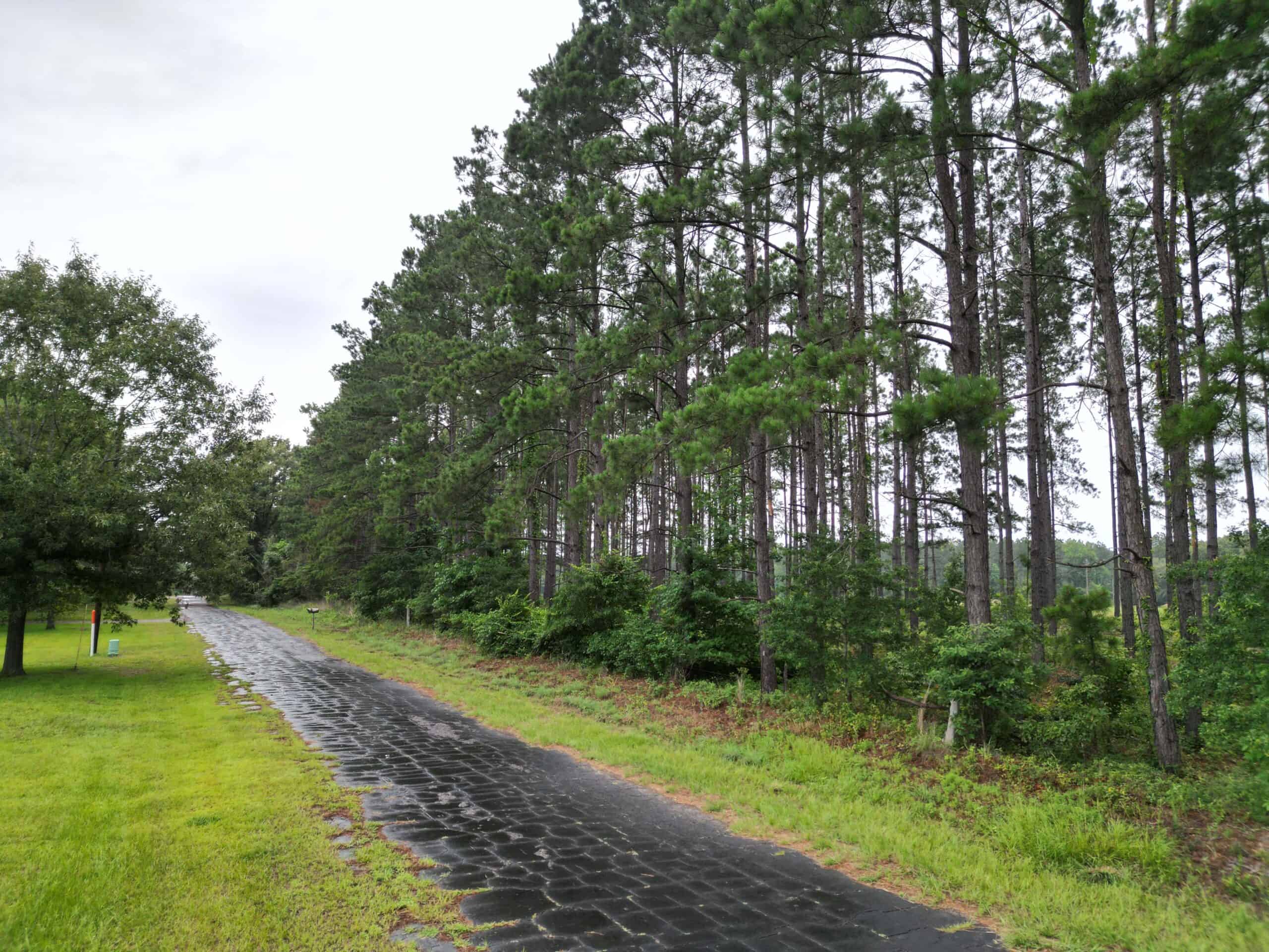 East Texas Land For Sale in McLeod, Texas