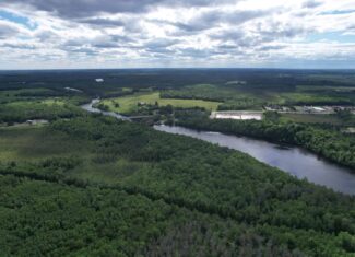 58 ± Acres Near Park Falls With Whitetail Hunting