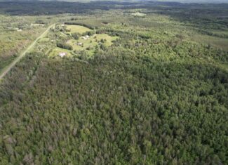 58 ± Acres Near Park Falls With Whitetail Hunting