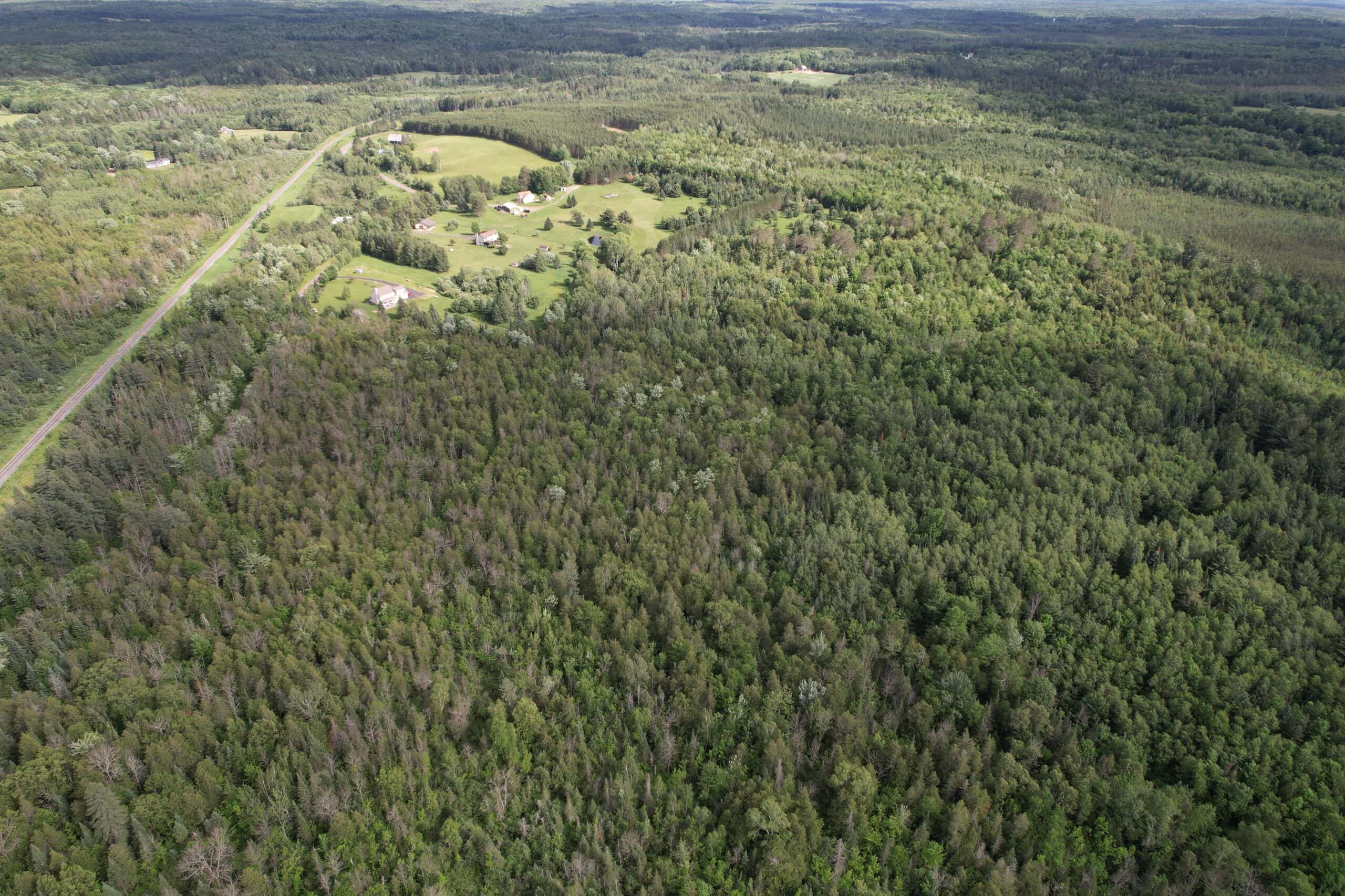 58 ± Acres Near Park Falls With Whitetail Hunting