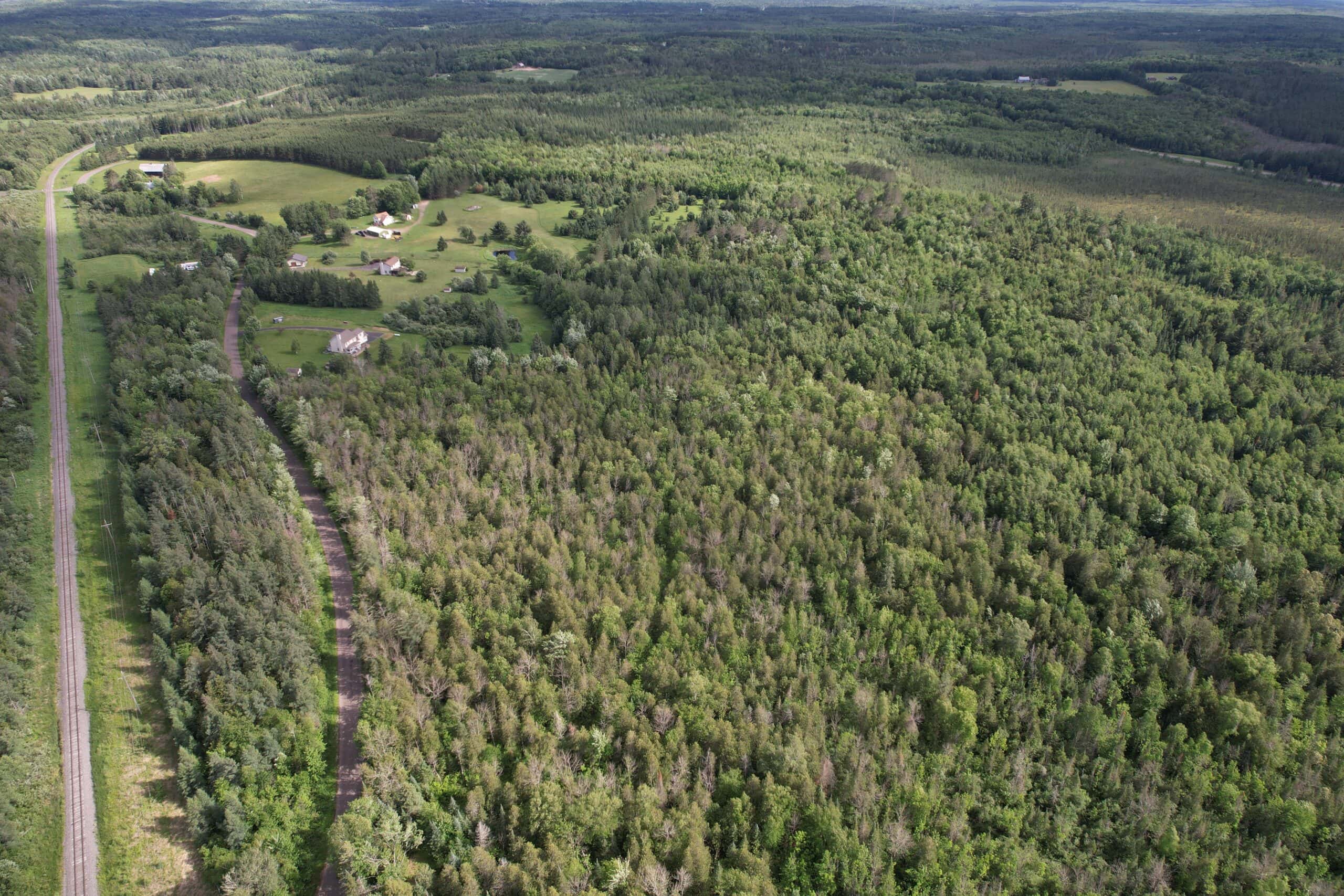 58 ± Acres Near Park Falls With Whitetail Hunting