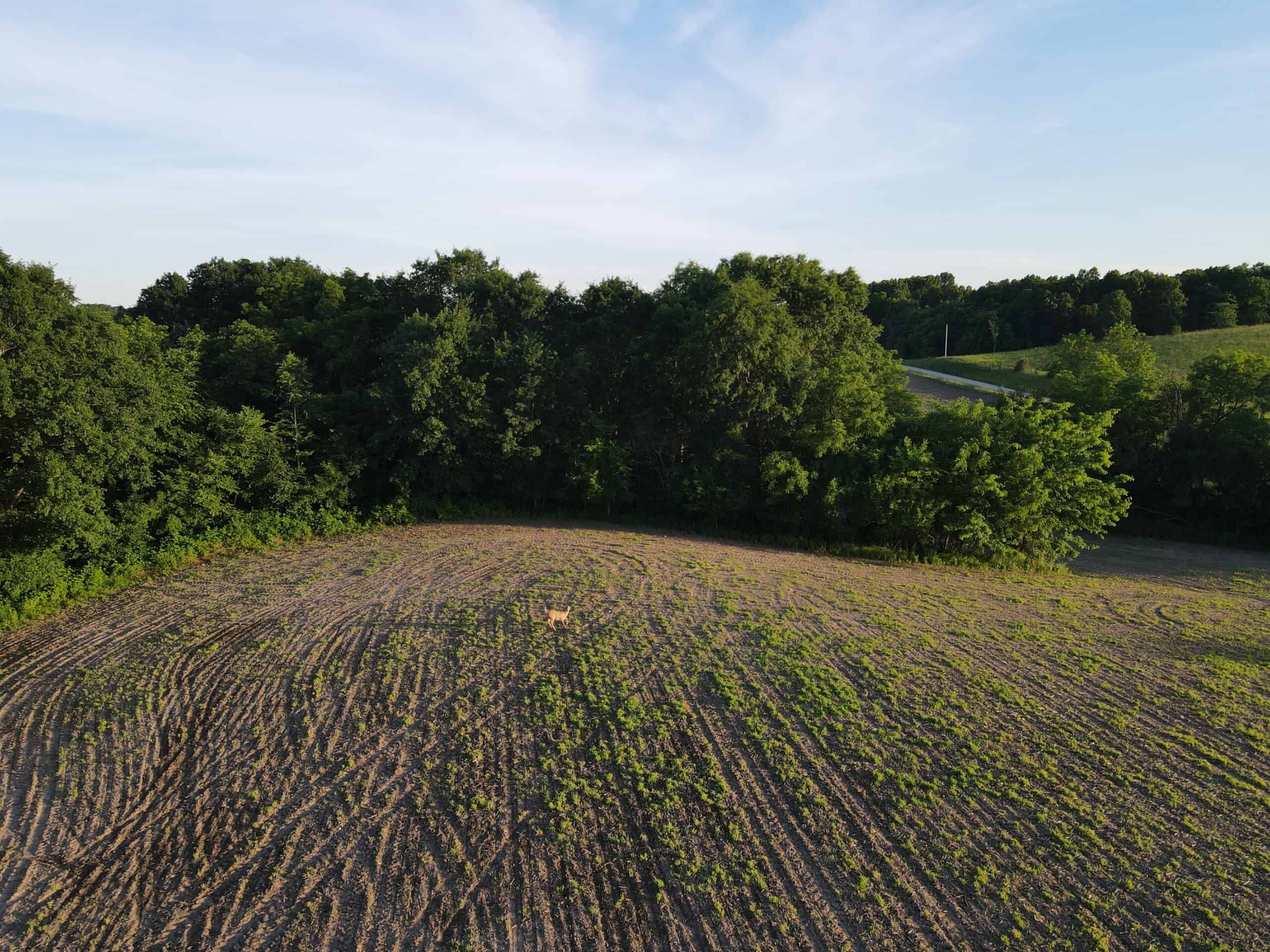 80 M/L acres Grundy County Missouri!