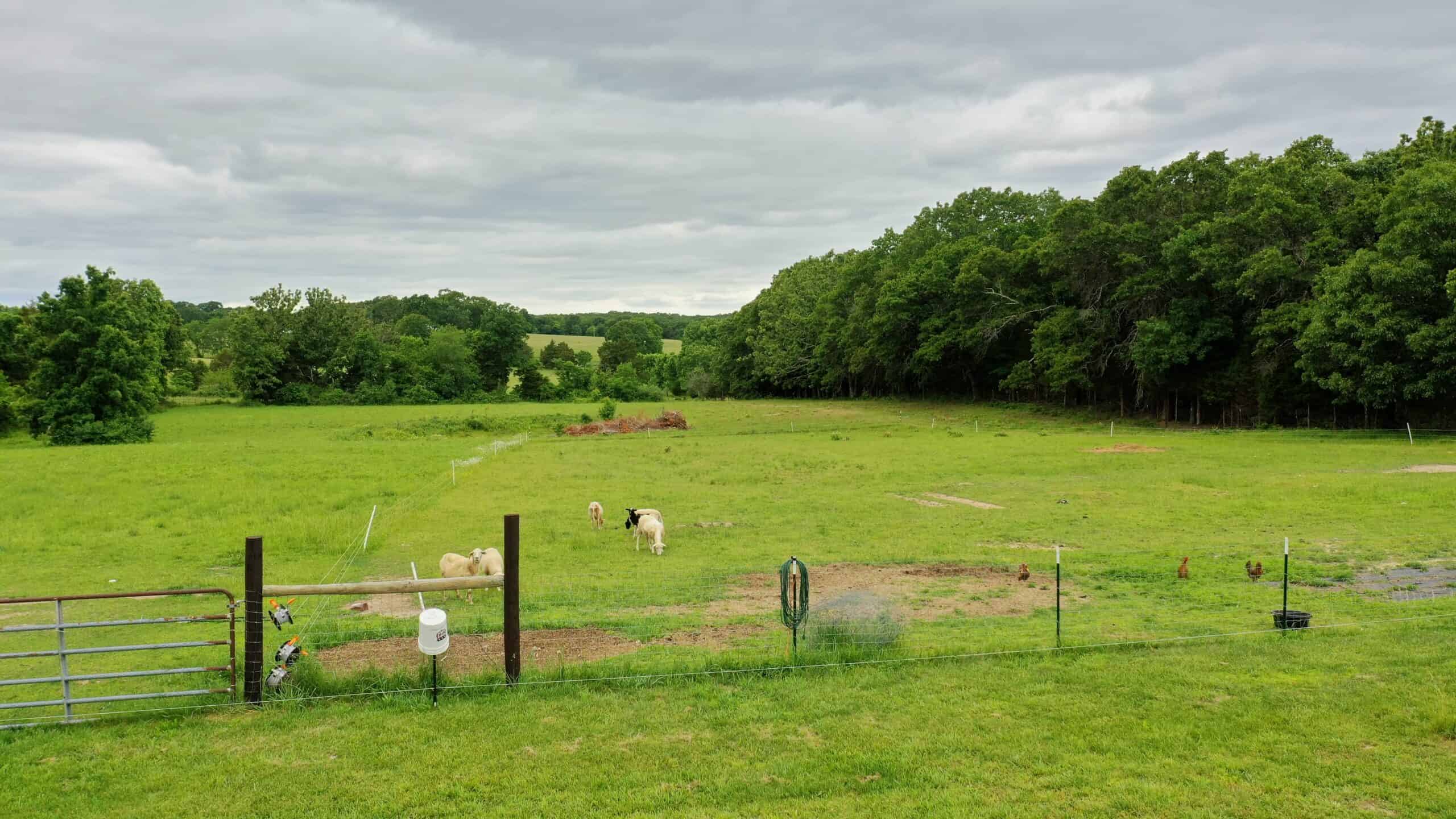 Ozark Homestead and Land for Sale in Salem, MO