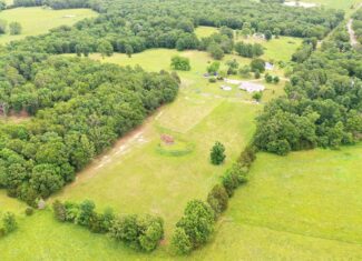 Ozark Homestead and Land for Sale in Salem, MO