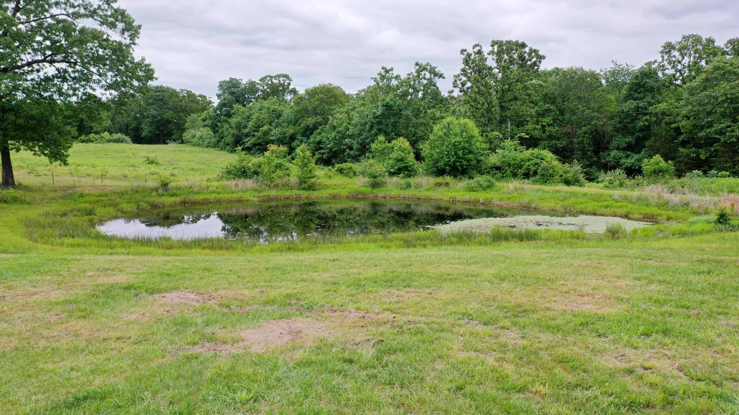 Ozark Homestead and Land for Sale in Salem, MO