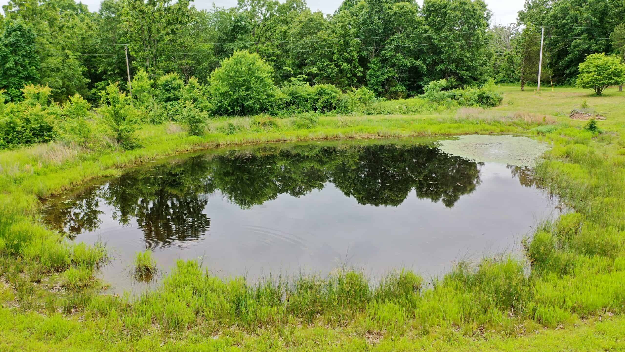Ozark Homestead and Land for Sale in Salem, MO
