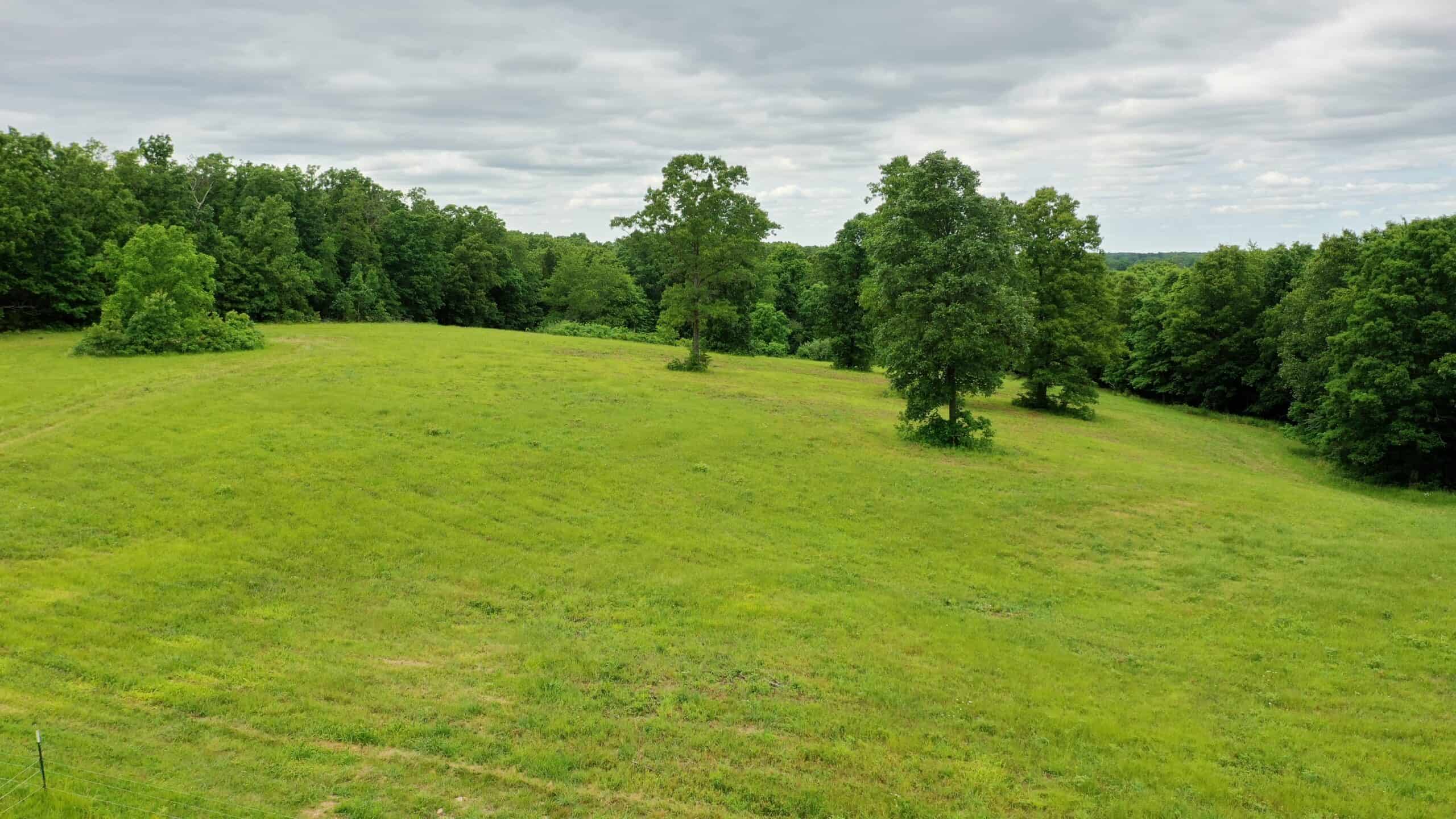 Ozark Homestead and Land for Sale in Salem, MO