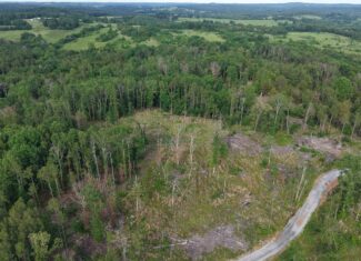 HUNTING AND BUILDING LAND FOR SALE IN NORTH CENTRAL ARKANSAS