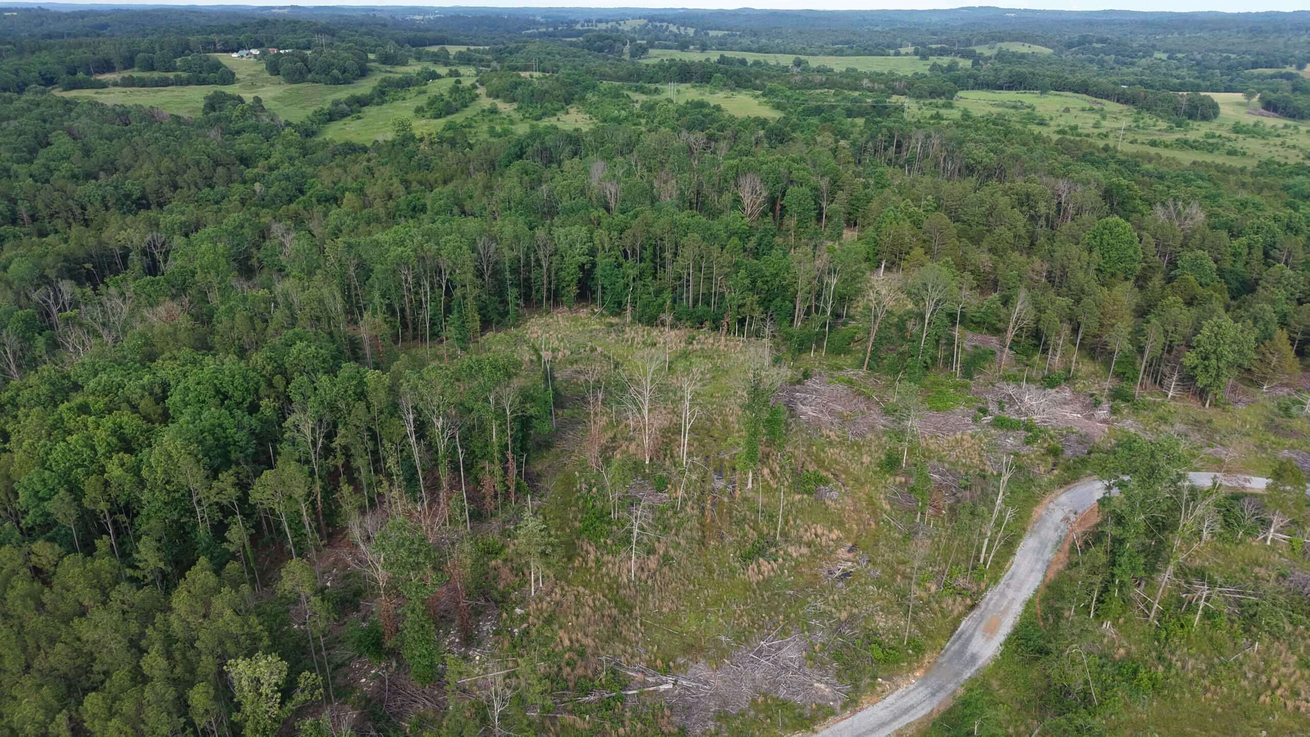 HUNTING AND BUILDING LAND FOR SALE IN NORTH CENTRAL ARKANSAS