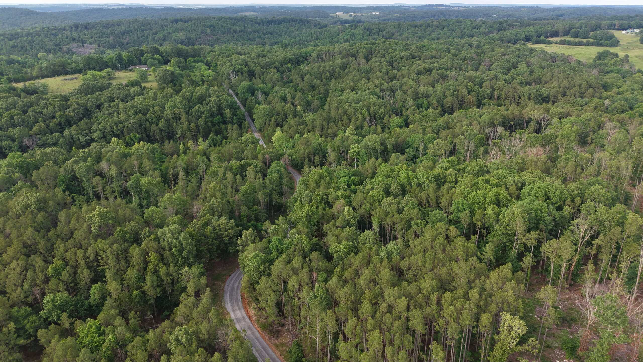 HUNTING AND BUILDING LAND FOR SALE IN NORTH CENTRAL ARKANSAS