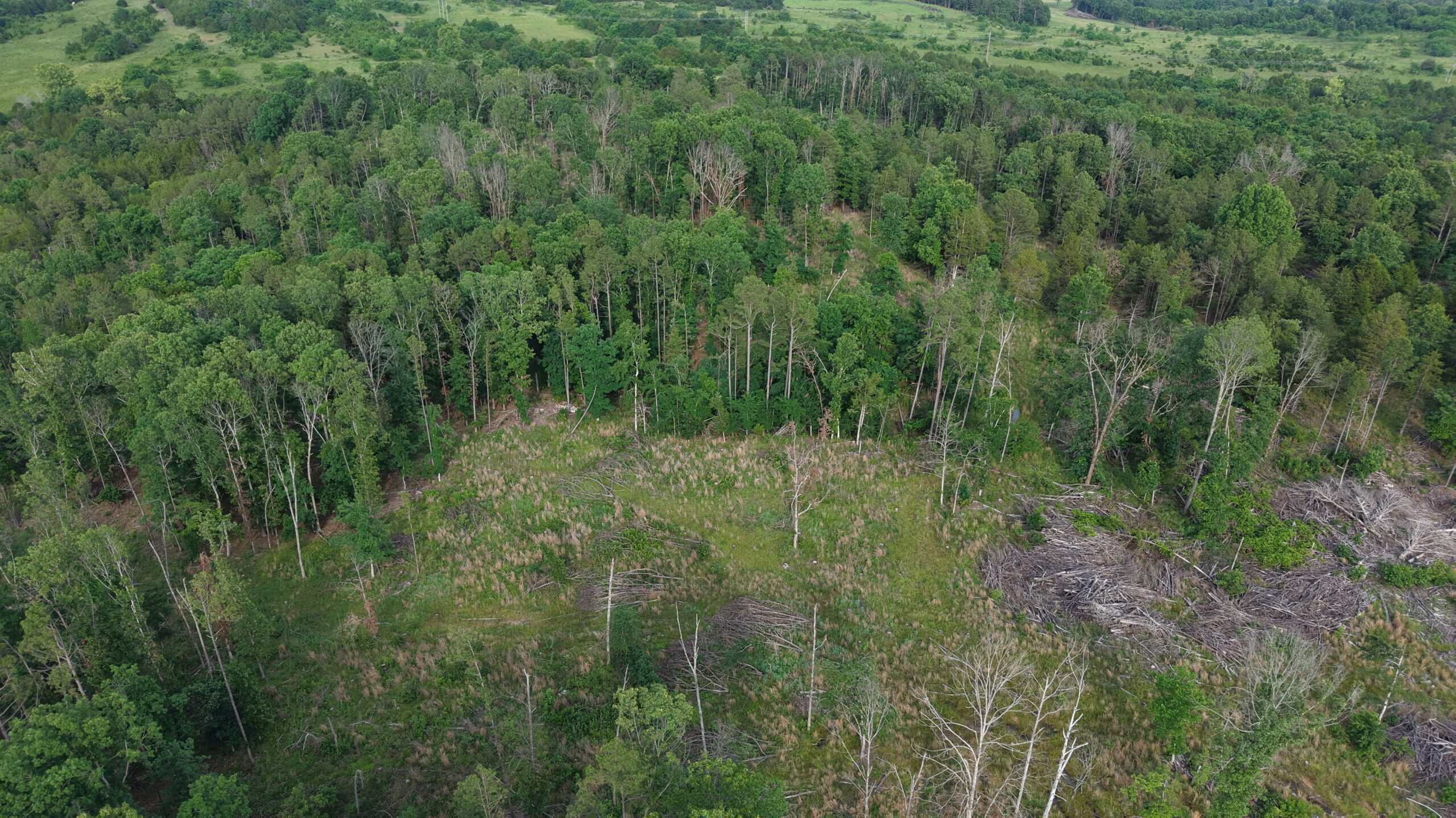 HUNTING AND BUILDING LAND FOR SALE IN NORTH CENTRAL ARKANSAS