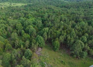HUNTING AND BUILDING LAND FOR SALE IN NORTH CENTRAL ARKANSAS