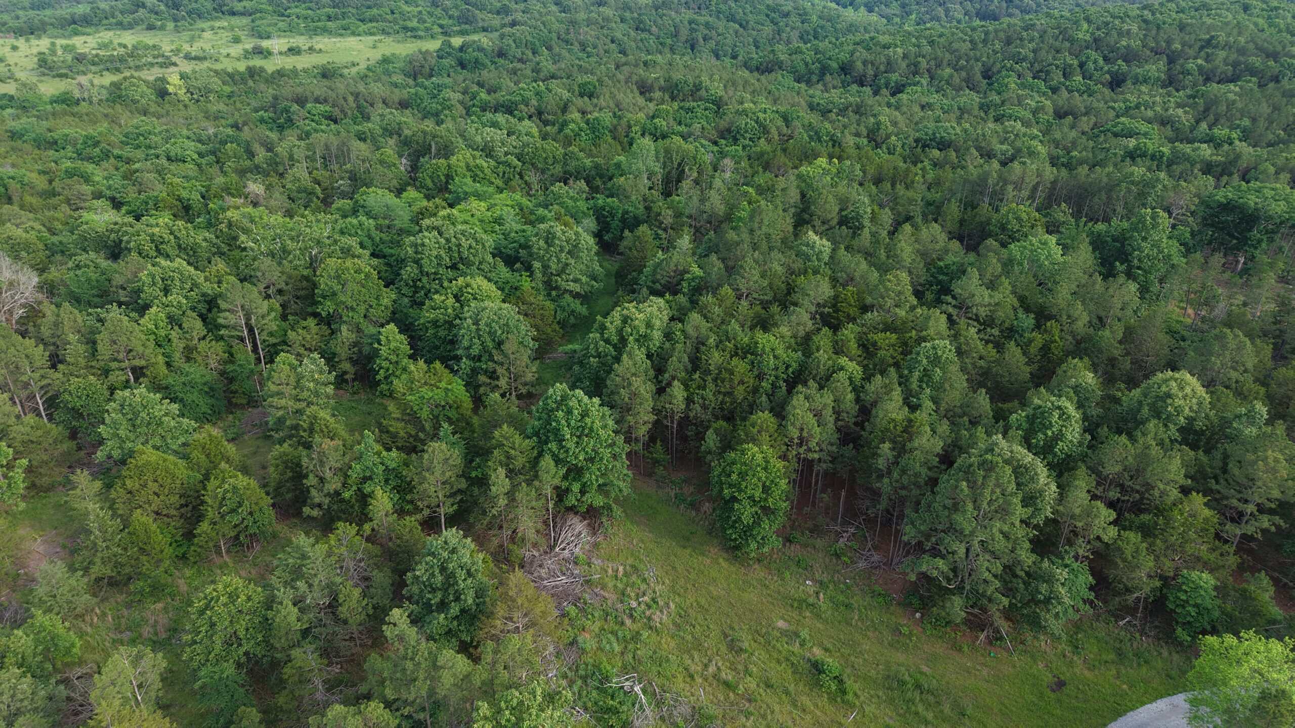 HUNTING AND BUILDING LAND FOR SALE IN NORTH CENTRAL ARKANSAS