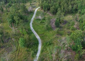 HUNTING AND BUILDING LAND FOR SALE IN NORTH CENTRAL ARKANSAS