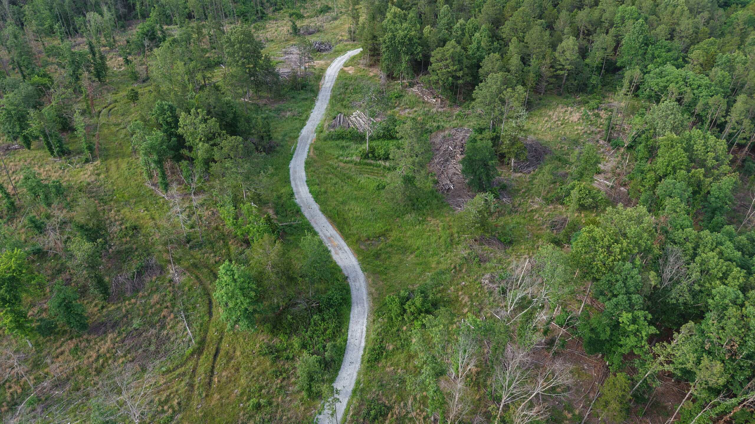 HUNTING AND BUILDING LAND FOR SALE IN NORTH CENTRAL ARKANSAS