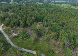 HUNTING AND BUILDING LAND FOR SALE IN NORTH CENTRAL ARKANSAS