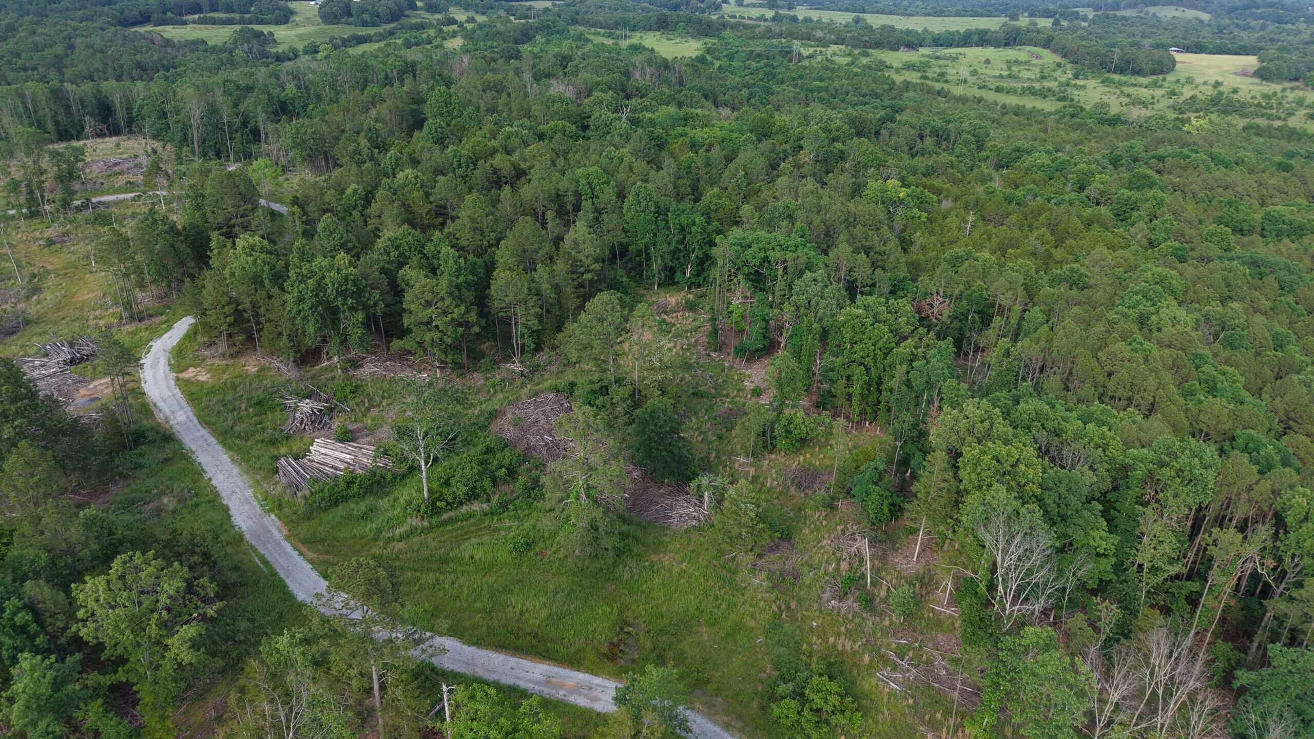 HUNTING AND BUILDING LAND FOR SALE IN NORTH CENTRAL ARKANSAS
