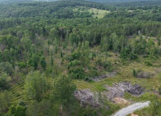 BUILDING AND HUNTING FOR SALE IN NORTH CENTRAL ARKANSAS