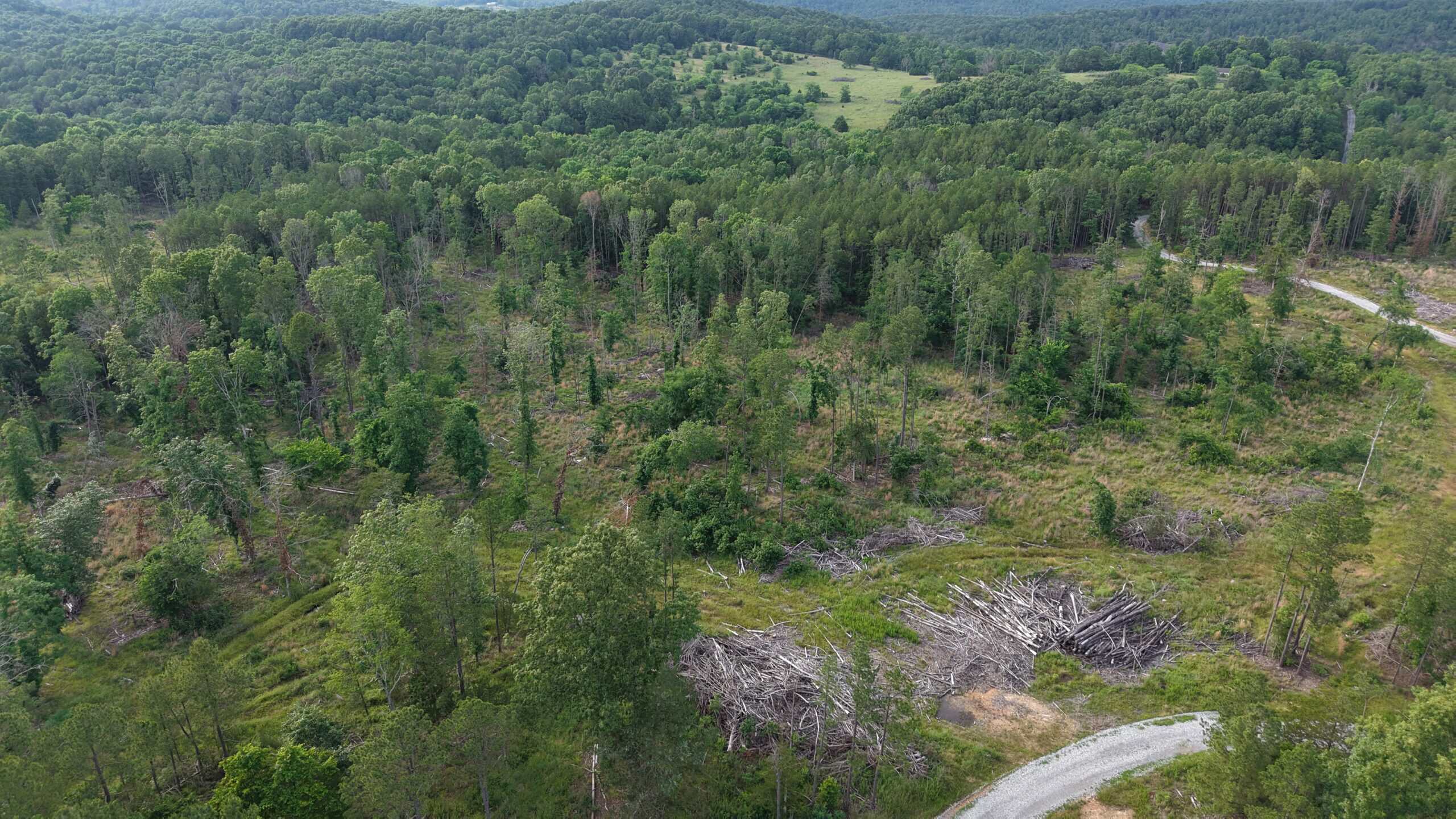 BUILDING AND HUNTING FOR SALE IN NORTH CENTRAL ARKANSAS