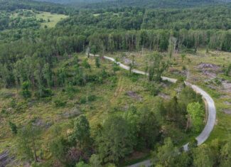 HUNTING AND BUILDING LAND FOR SALE IN NORTH CENTRAL ARKANSAS