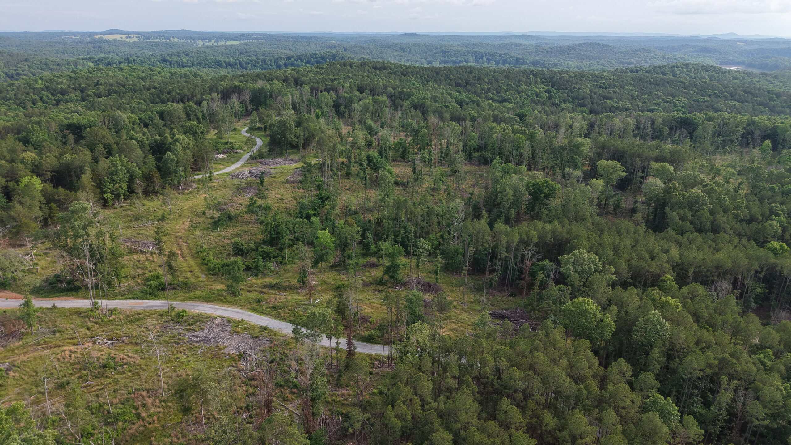 HUNTING AND BUILDING LAND FOR SALE IN NORTH CENTRAL ARKANSAS