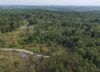 BUILDING AND HUNTING FOR SALE IN NORTH CENTRAL ARKANSAS