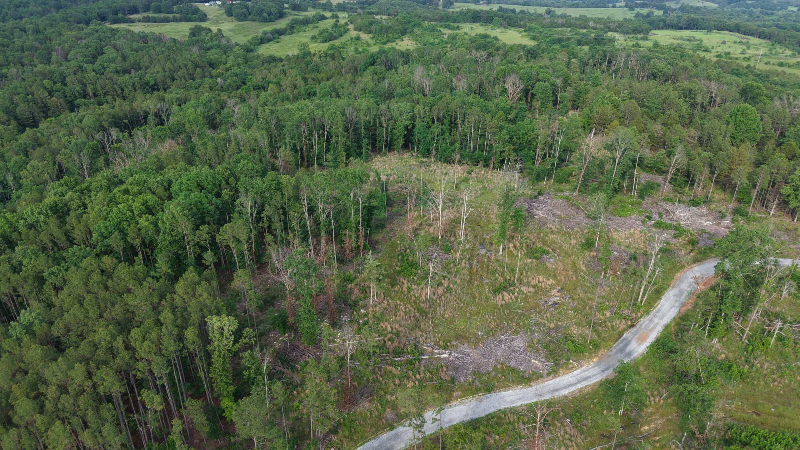 HUNTING AND BUILDING LAND FOR SALE IN NORTH CENTRAL ARKANSAS