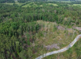 UNRESTRICTED LAND FOR SALE IN NORTH CENTRAL ARKANSAS