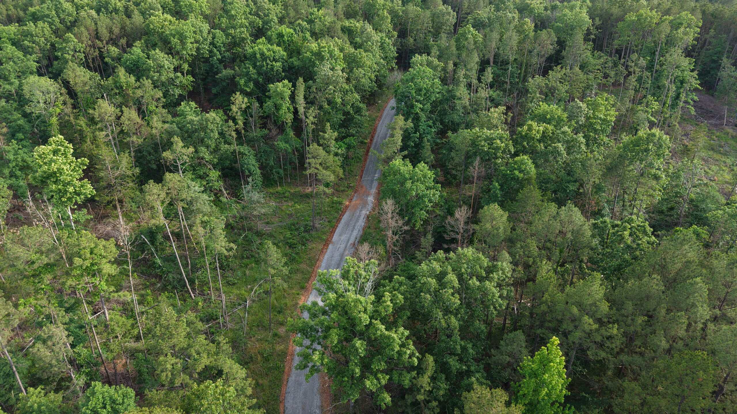 BUILDING AND HUNTING FOR SALE IN NORTH CENTRAL ARKANSAS