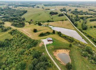 80± acres • Southern Scotland County, MO • Hunting with Income
