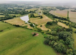 80± acres • Southern Scotland County, MO • Hunting with Income