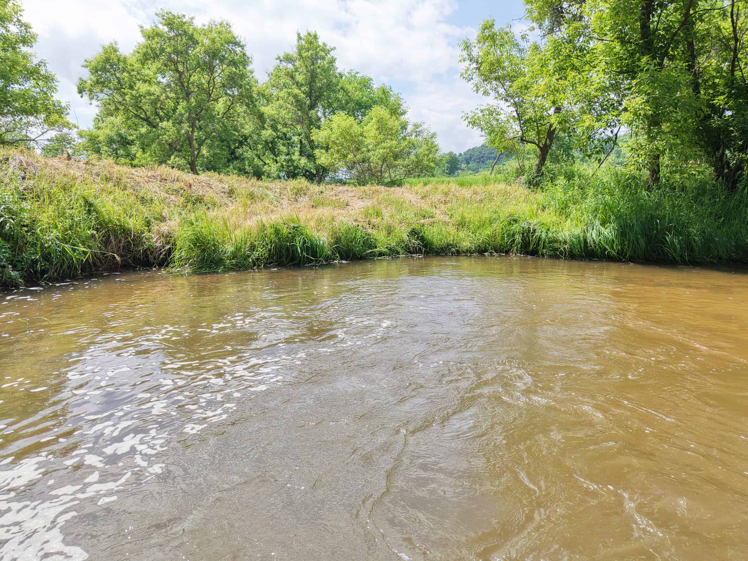 Trout Stream, Woods, Hunting & Fishing, Great Building Site