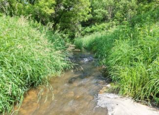 Trout Stream, Woods, Hunting & Fishing, Great Building Site