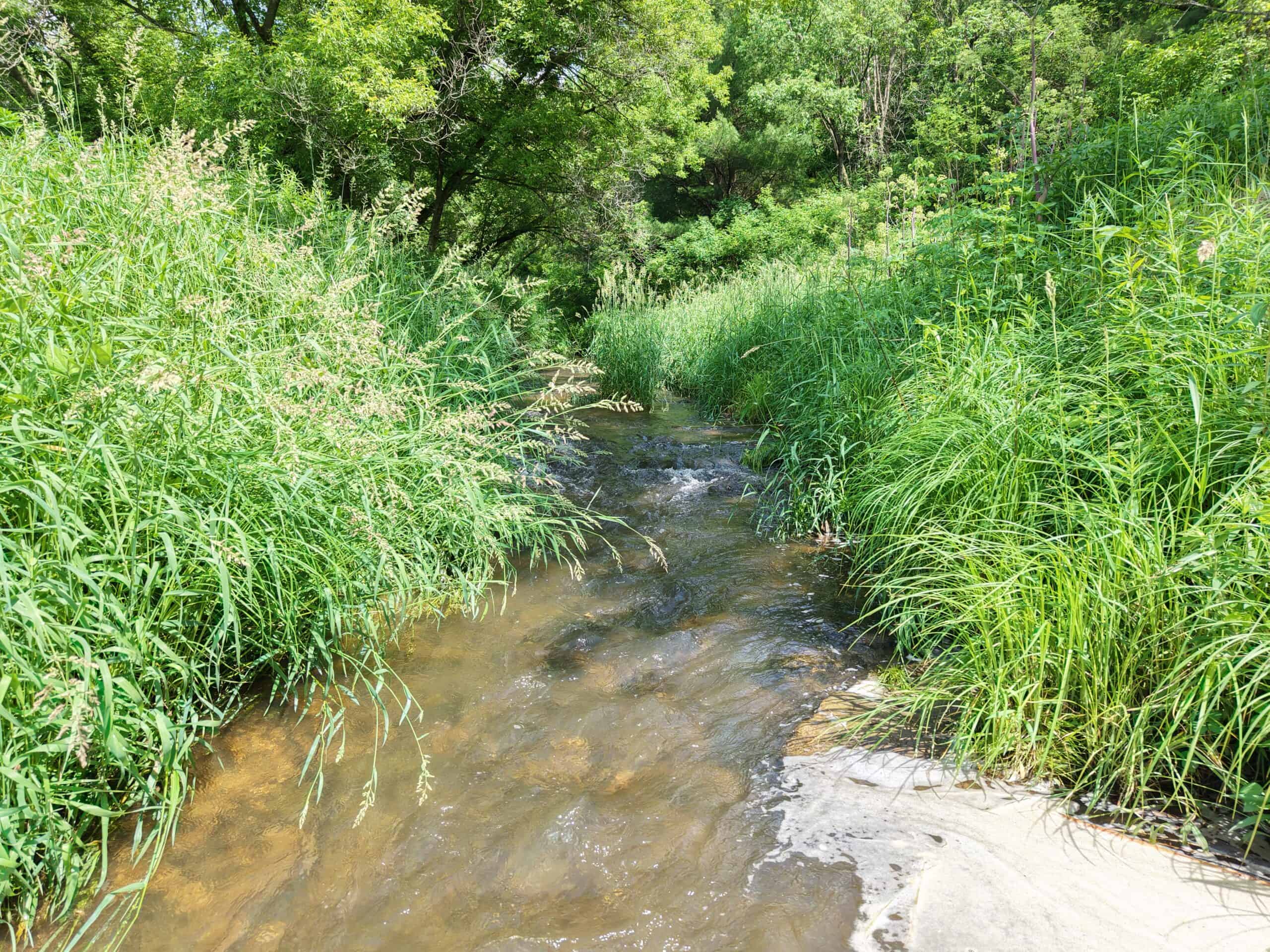 Trout Stream, Woods, Hunting & Fishing, Great Building Site