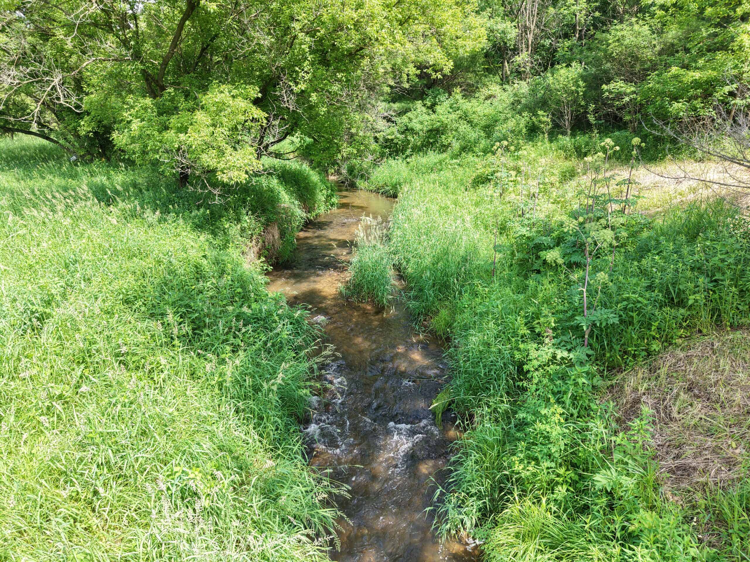 Trout Stream, Woods, Hunting & Fishing, Great Building Site