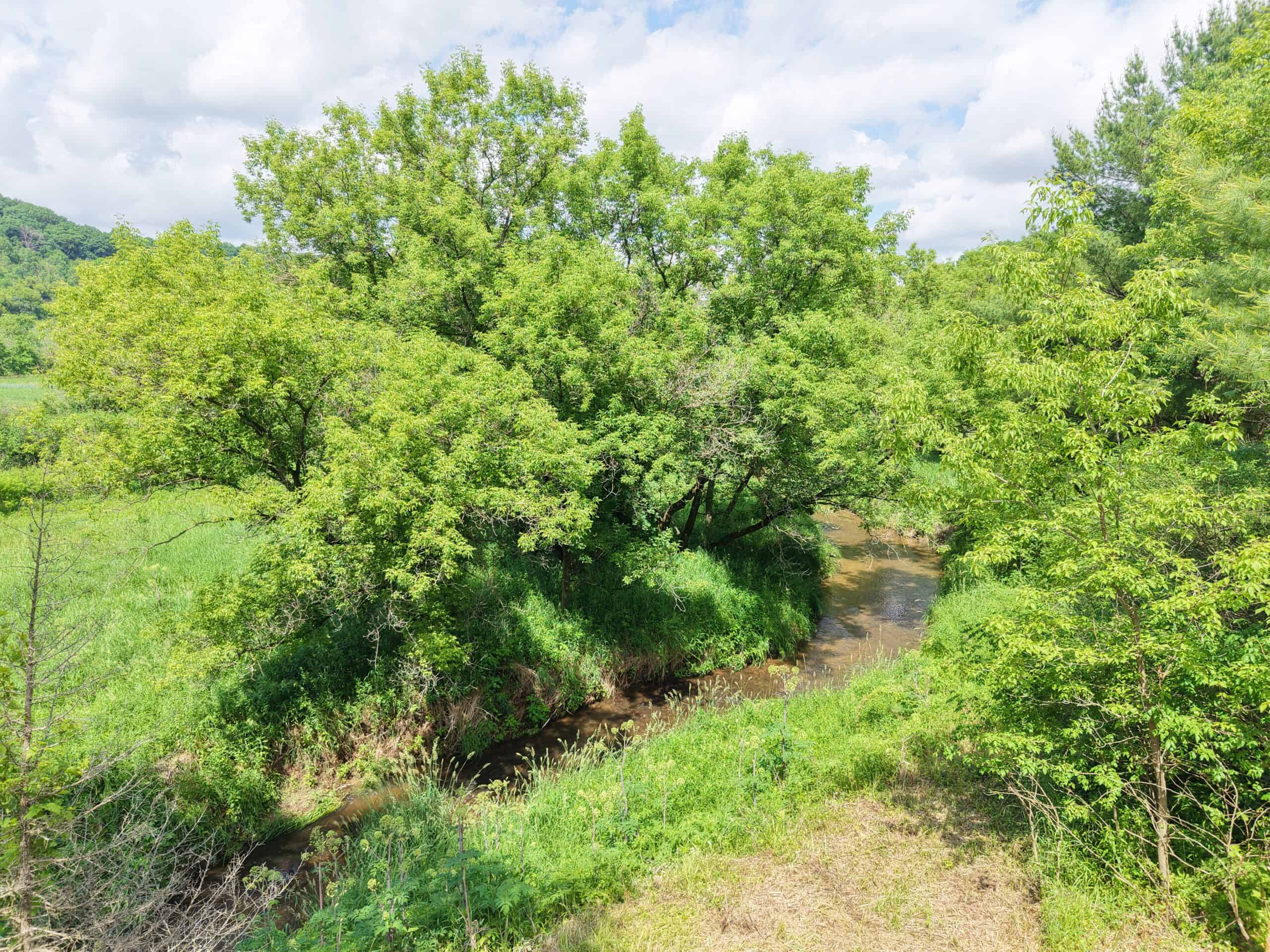 Trout Stream, Woods, Hunting & Fishing, Great Building Site