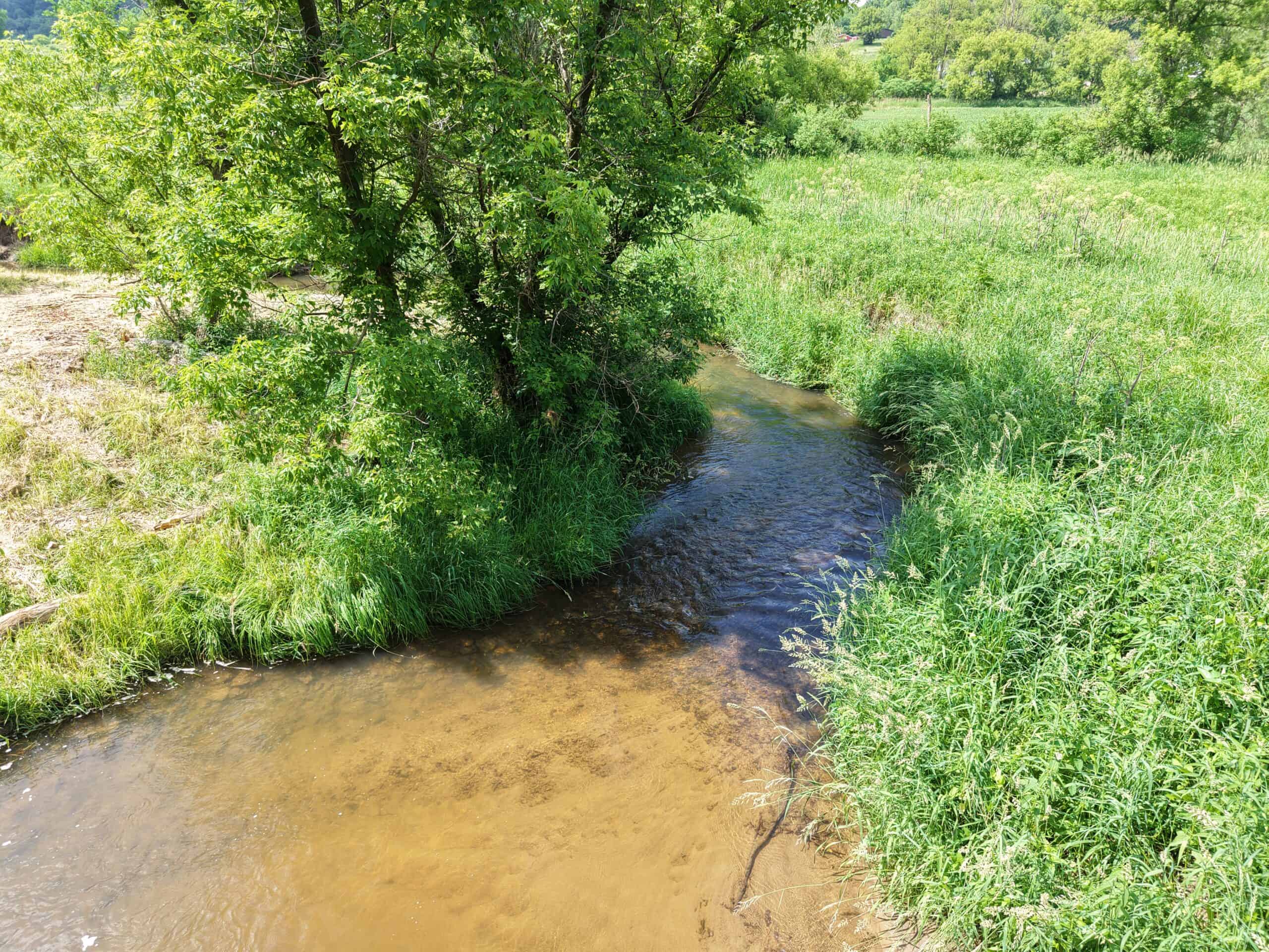Trout Stream, Woods, Hunting & Fishing, Great Building Site