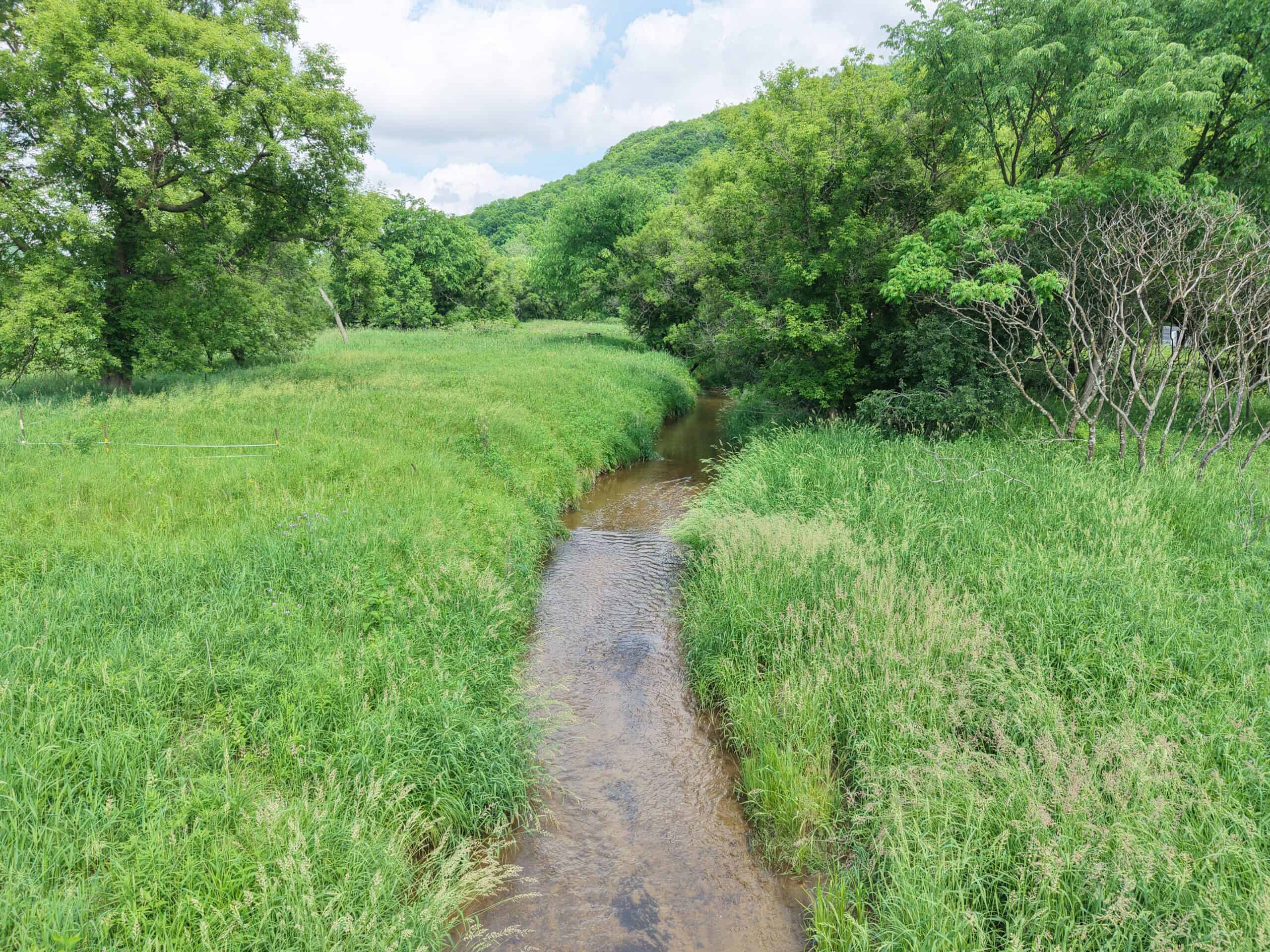 Trout Stream, Woods, Hunting & Fishing, Great Building Site