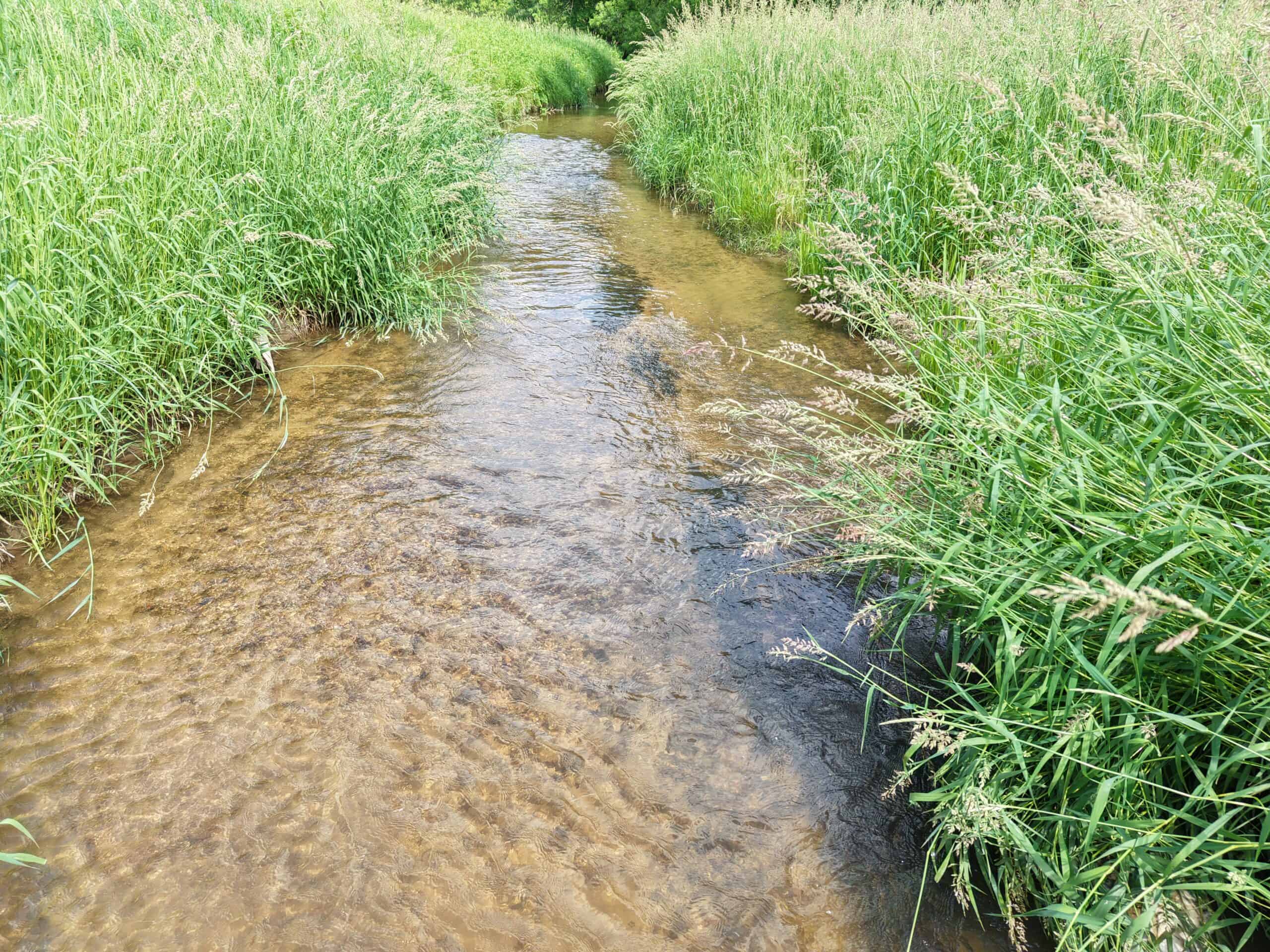 Trout Stream, Woods, Hunting & Fishing, Great Building Site