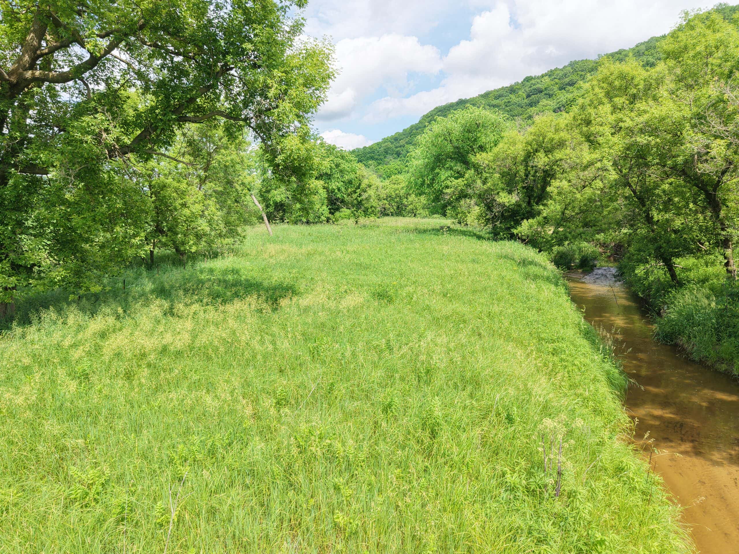 Trout Stream, Woods, Hunting & Fishing, Great Building Site
