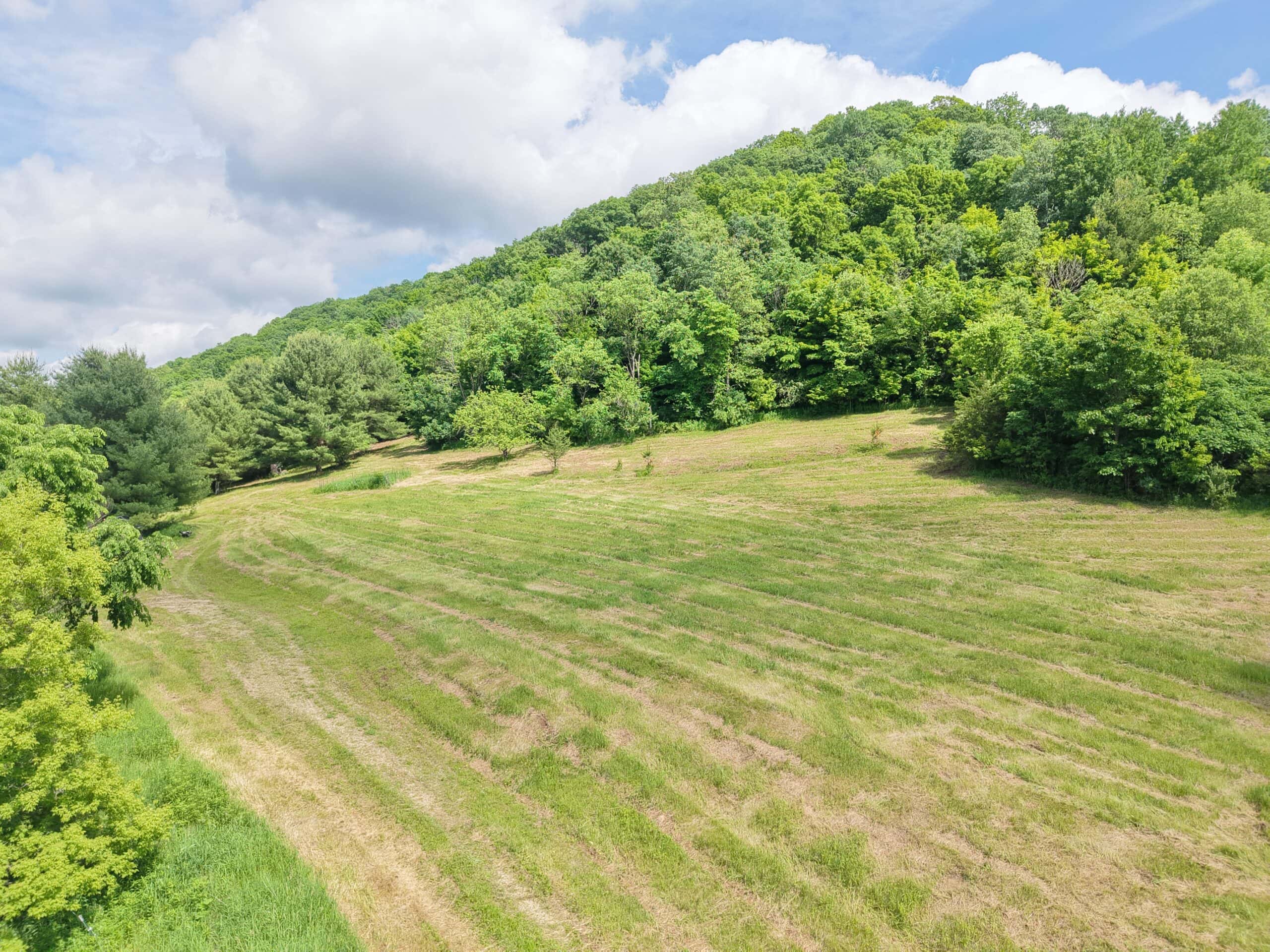 Trout Stream, Woods, Hunting & Fishing, Great Building Site