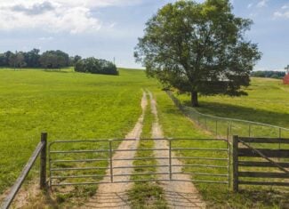 Ranch-Farm for Sale-Hamblen County-Tennessee-Whitesburg-East TN