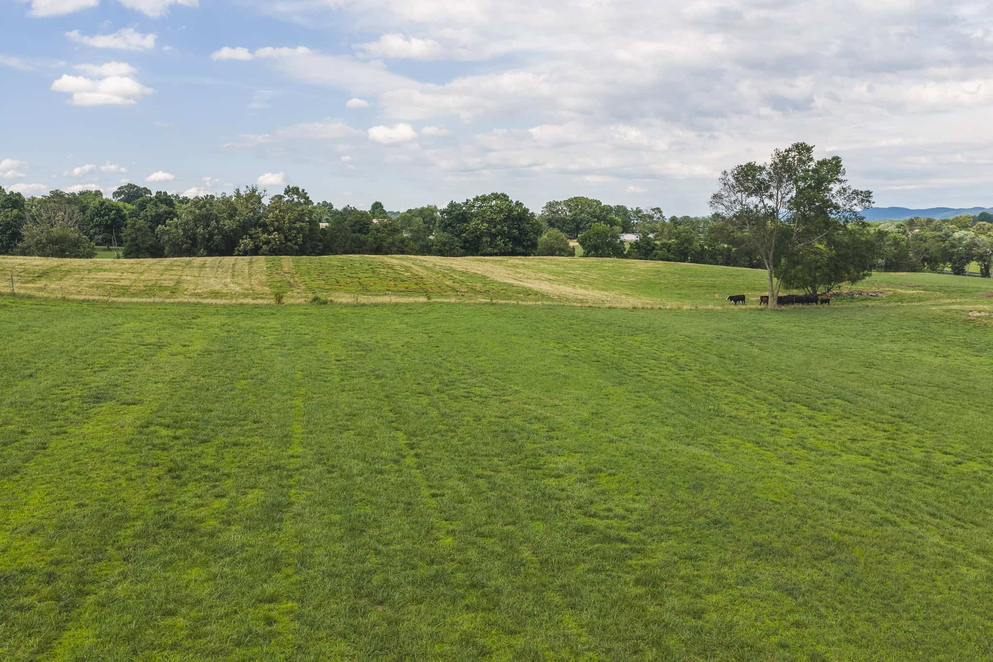 Ranch-Farm for Sale-Hamblen County-Tennessee-Whitesburg-East TN